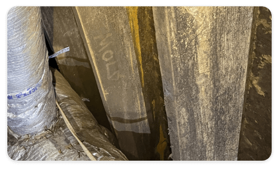 Crawl Mold (1)
